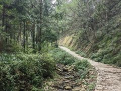 -素山寺森林公园