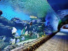 -华夏文旅海洋公园