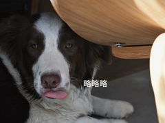 -时间抽屉(裕华万达广场店)