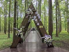 -黄海国家森林公园