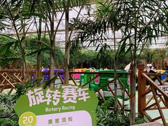 -南宫五洲植物乐园