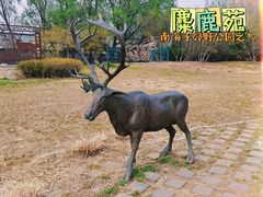 -北京麋鹿生态实验中心