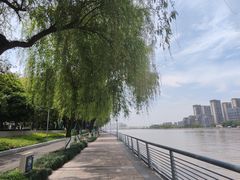 -宁波市图书馆-停车场