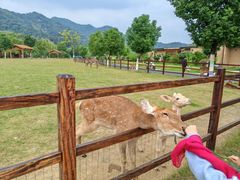 -杭州开元森泊度假乐园