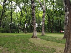 -玲珑塔公园