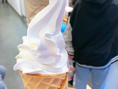 -蜜雪冰城(泰安金街北店)