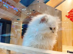 -星巴克臻选(郑州国贸360广场店)