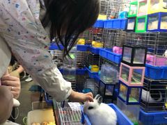 -万商花鸟市场
