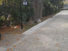 -西山人家·二十年老字号农家菜(旺山店)