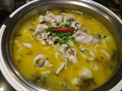 2.8斤黑鱼-严厨老坛酸菜鱼(吴江万宝店)