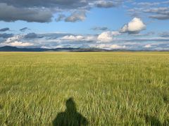 -塞罕坝国家级自然保护区