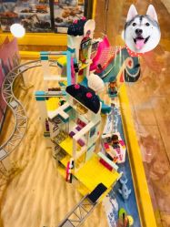 -kidsland(领展购物广场·京通店)
