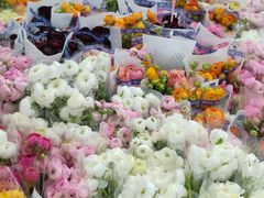 -循礼门鲜花花市(武汉循礼门店)