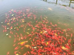 -前关湿地公园