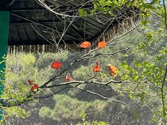 -沈阳森林动物园