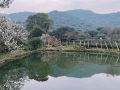 -树山生态村