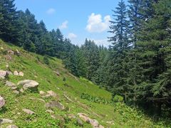 -芦芽山旅游度假区