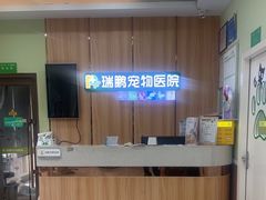 -瑞鹏宠物医院·夜间急症·心超·猫科(祖庙分店)