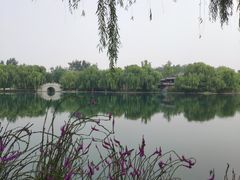 -百脉泉景区