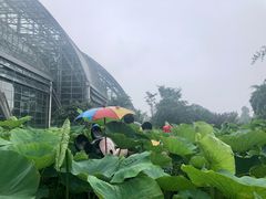 -南山植物园