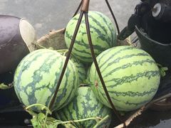 -南汇老顾农家乐采摘大团水蜜桃采摘店