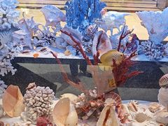 -新海渔港·胶东海鲜家常菜·家宴(奥体中心店)
