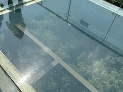 -亚龙湾热带天堂森林公园