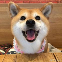 点击看大图 -BABY FACE沙龙