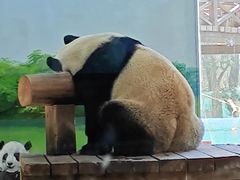 -临沂动植物园