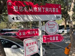 -阿巧茶庄