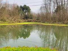 -桤木河湿地公园