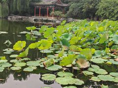 -香山公园