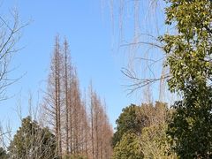 -同里国家湿地公园