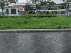 -泰山大剧院