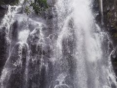 -马峦山郊野公园