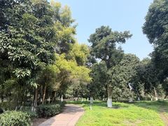 -张坝桂圆林公园