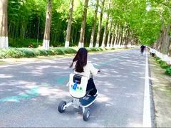 -黄海国家森林公园