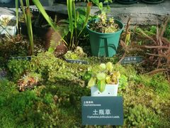 -国家植物园南园