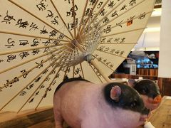 -春家·非遗手工小吃(徐汇万科广场店)