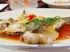清蒸桂鱼-老正兴菜馆(福州路店)