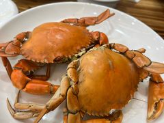 -杨记海鲜楼(三门黑金冠店)