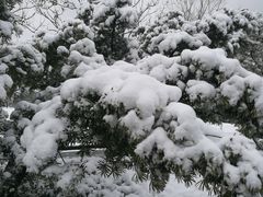 -同济大学(嘉定校区)