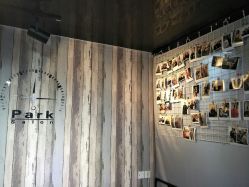 -Park Salon脏辫羽毛接发