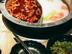 -销魂美蛙鱼头火锅(上海首店)