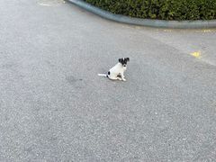 -金陵图书馆