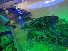 -华夏文旅海洋公园