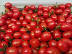 -莫莉幻想儿童乐园(郑州丹尼斯三天地店)