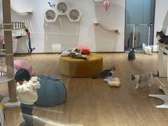-1013 PET SHOP精品宠物商店(丁香店)