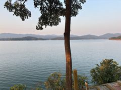 -广州市流溪河国家森林公园