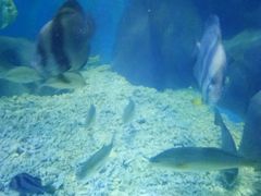-上海长江河口科技馆